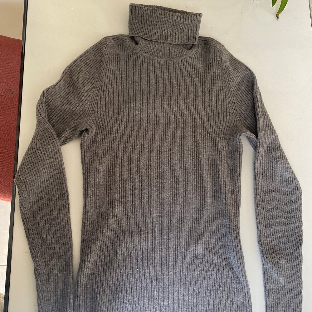 Everlane Merino Ribbed Turtleneck Sweater